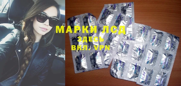 сатива Краснотурьинск
