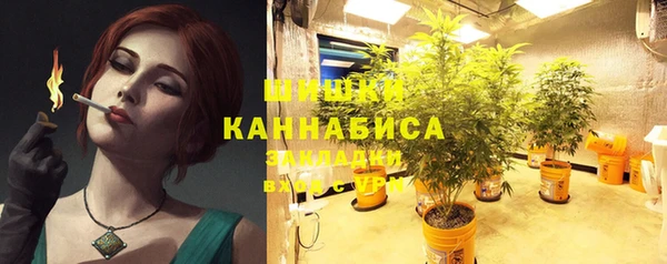 сатива Краснотурьинск
