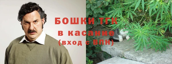 сатива Краснотурьинск