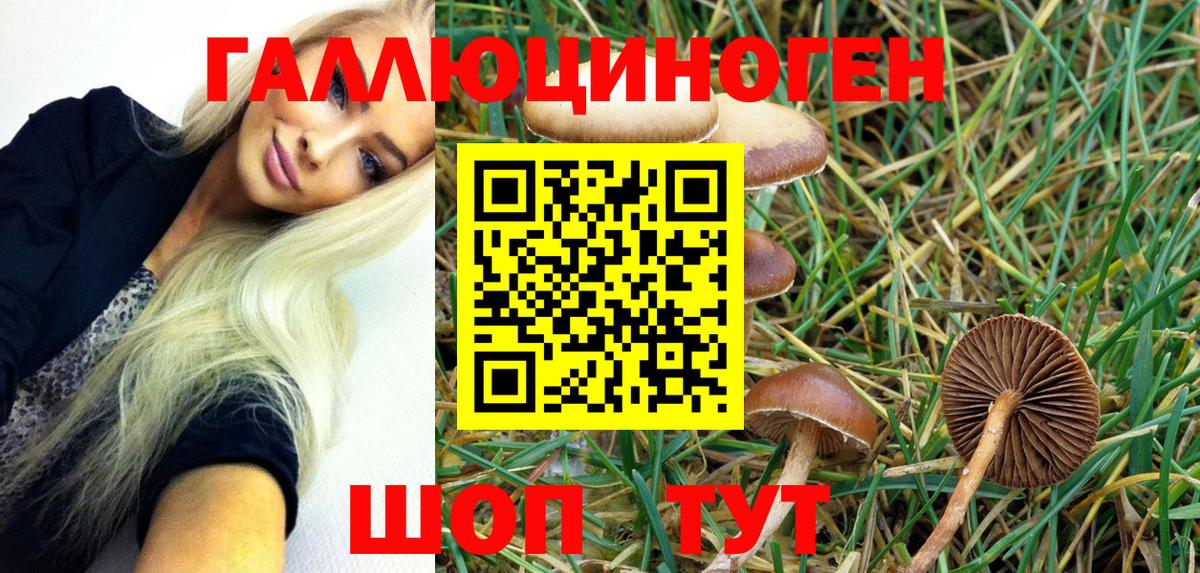 Галлюциногенные грибы ЛСД Ефремов