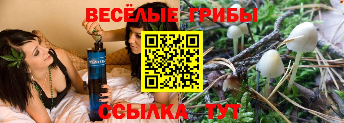 Псилоцибиновые грибы Magic Shrooms Ефремов