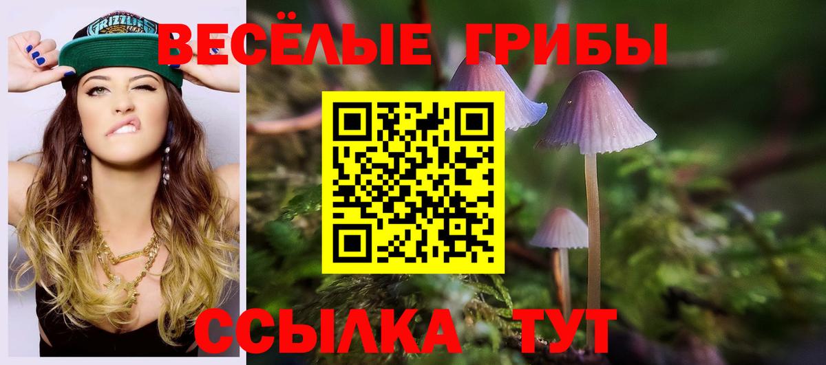 Псилоцибиновые грибы Magic Shrooms  Вход с VPN  Ефремов 