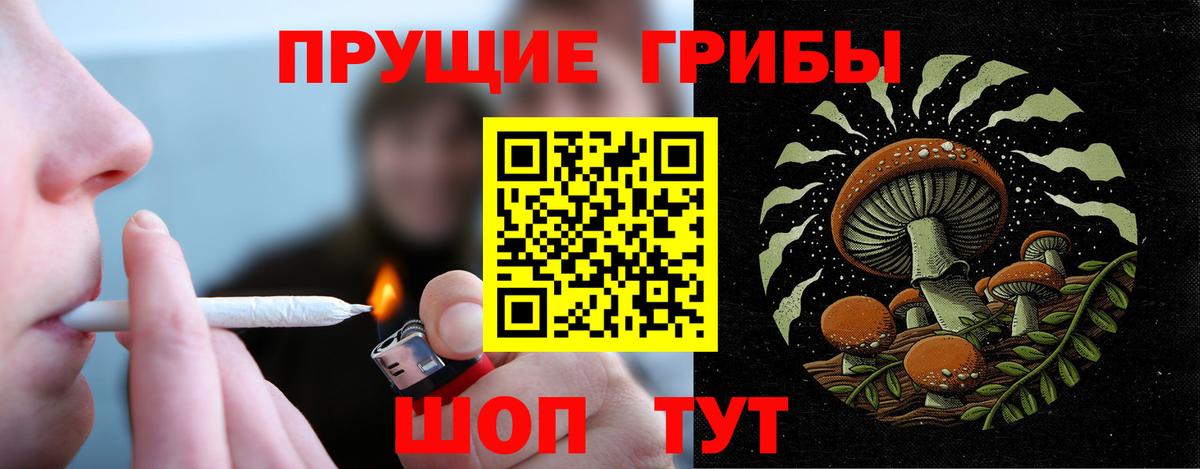 Галлюциногенные грибы MAGIC MUSHROOMS  Галлюциногенные грибы Cubensis  Ефремов 